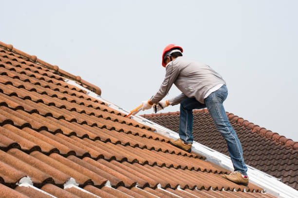 Best Roof Leak Repair  in Lukachukai, AZ