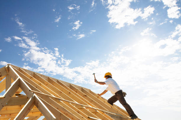 Best Skylight Installation and Repair  in Lukachukai, AZ